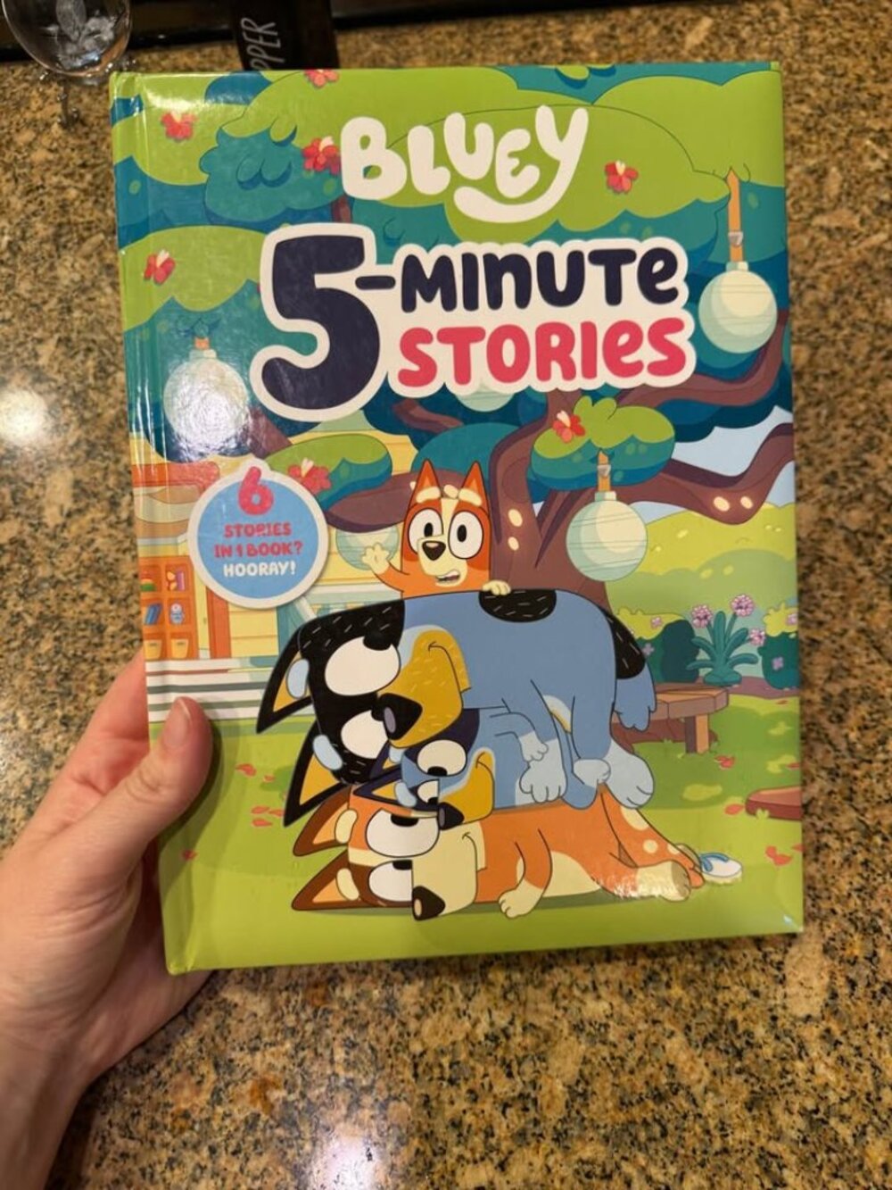 Bluey 5-Minute Stories book
